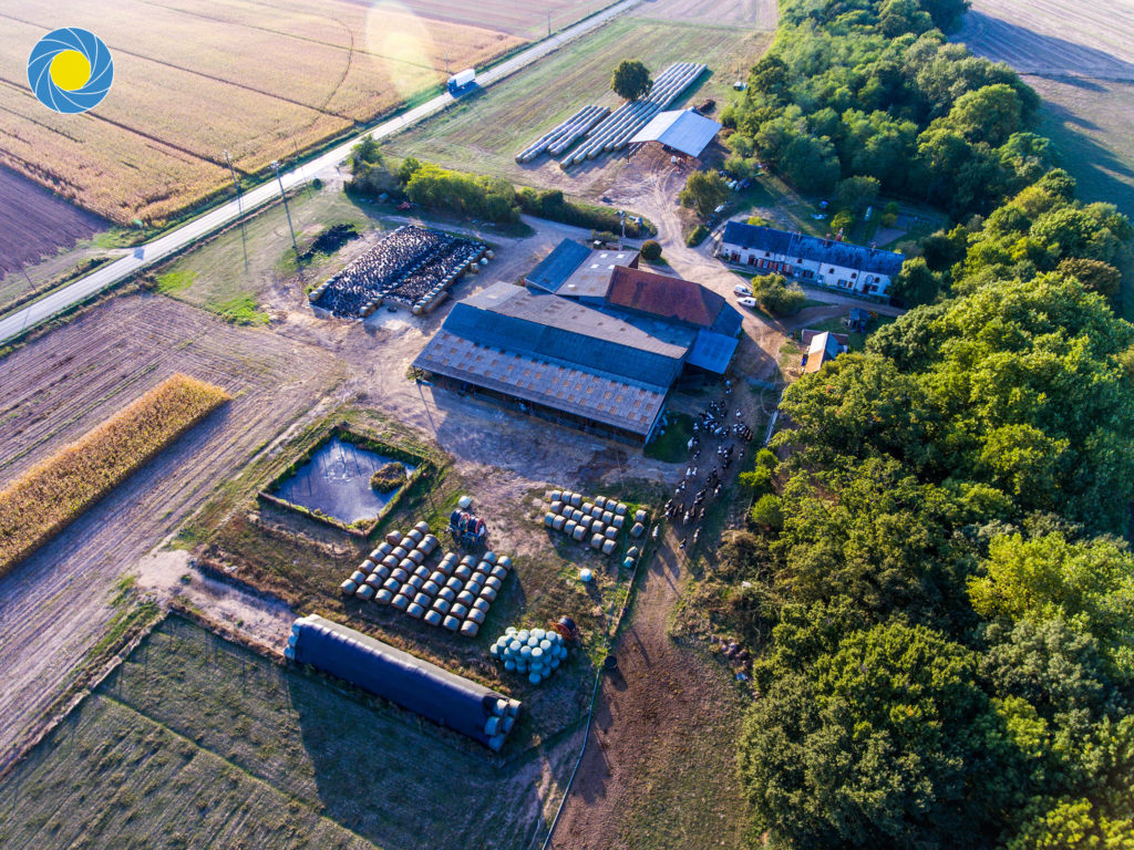 ferme_exploitation_agricole_Landes_vaches_RAWMER_photographe_photo_vidéaste_vidéo_télépilote_drone