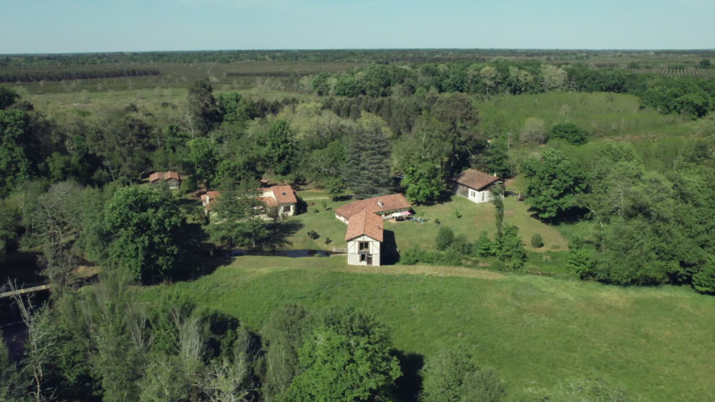 Gîte et moulin vus par drone dans un airial au milieu de la forêt des Landes en vente par une agence immobilière