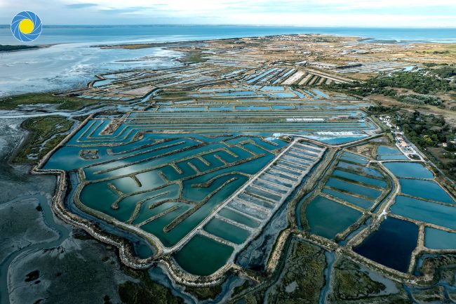 Les marais salants de l'Ile de Ré