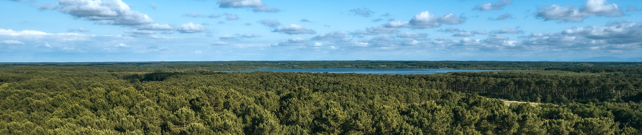 foret-landaise-par-drone